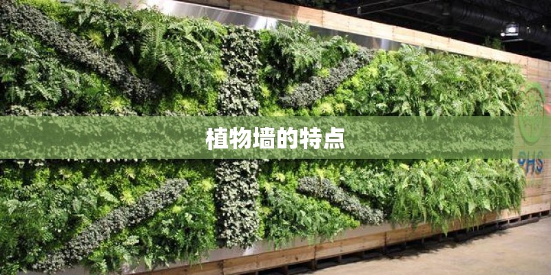 植物墙的特点