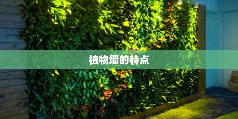 植物墙的特点