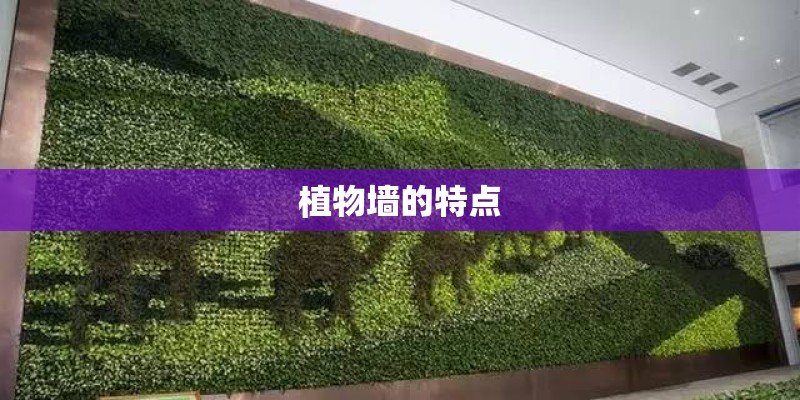 植物墙的特点