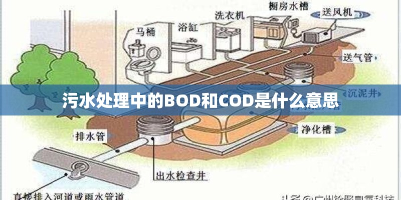 污水处理中的BOD和COD是什么意思
