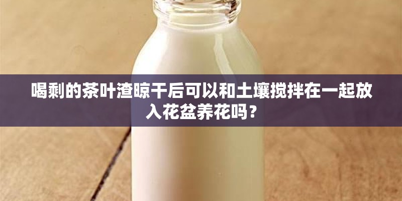 喝剩的茶叶渣晾干后可以和土壤搅拌在一起放入花盆养花吗？