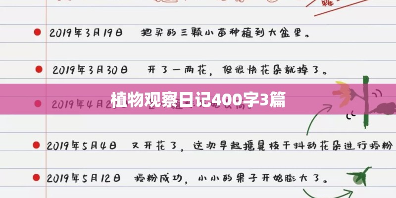 植物观察日记400字3篇