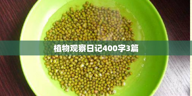 植物观察日记400字3篇