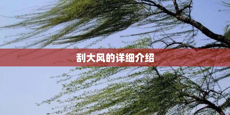 刮大风的详细介绍