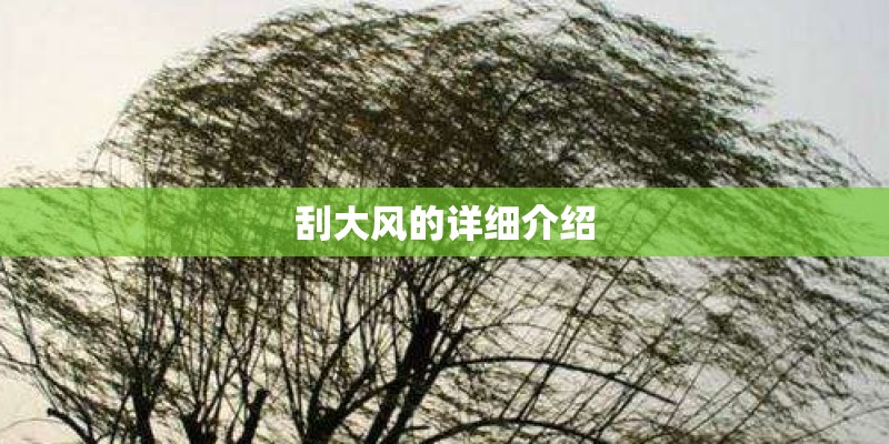 刮大风的详细介绍