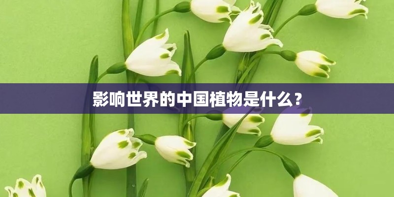 影响世界的中国植物是什么？