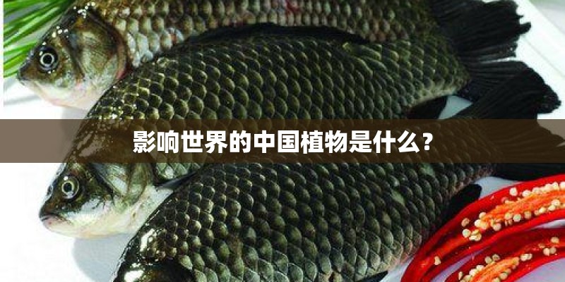 影响世界的中国植物是什么？