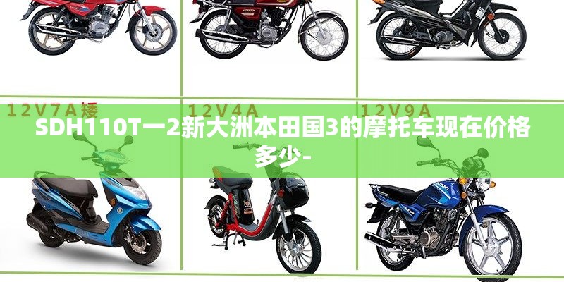 SDH110T一2新大洲本田国3的摩托车现在价格多少-