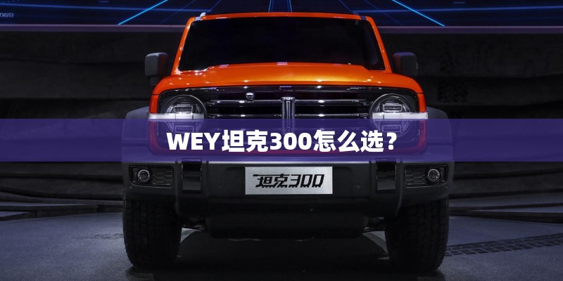 WEY坦克300怎么选？