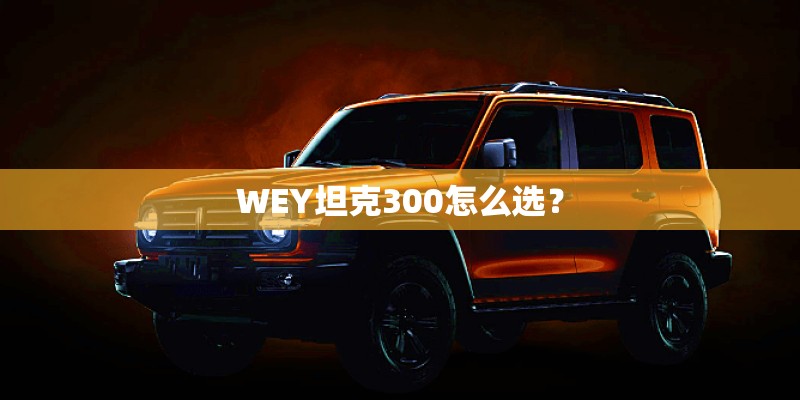 WEY坦克300怎么选？