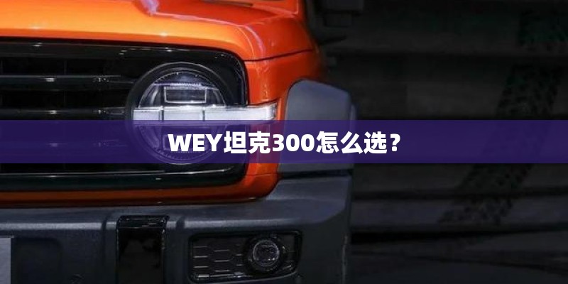 WEY坦克300怎么选？