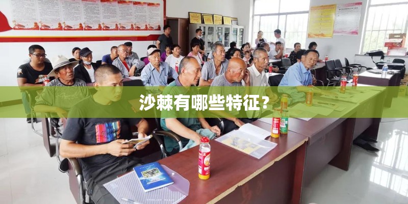 沙棘有哪些特征？