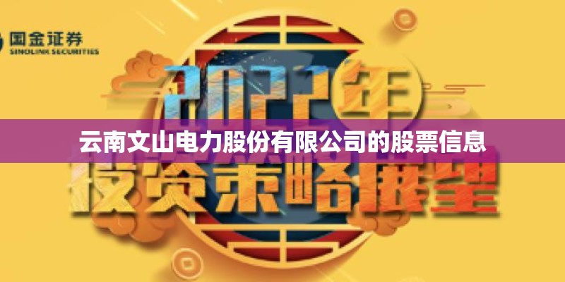 云南文山电力股份有限公司的股票信息