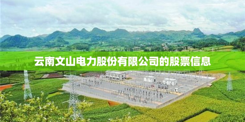 云南文山电力股份有限公司的股票信息