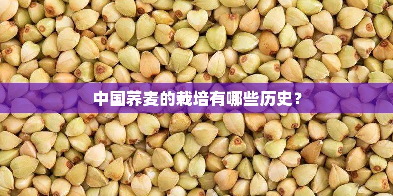 中国荞麦的栽培有哪些历史？