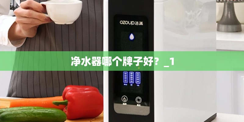 净水器哪个牌子好?_1 净水器哪个牌子好?_1
