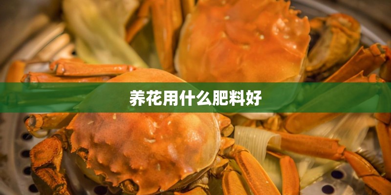 养花用什么肥料好