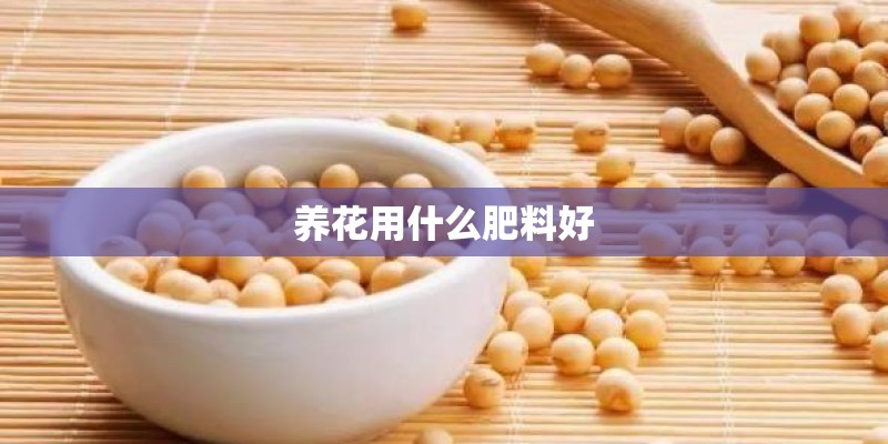 养花用什么肥料好