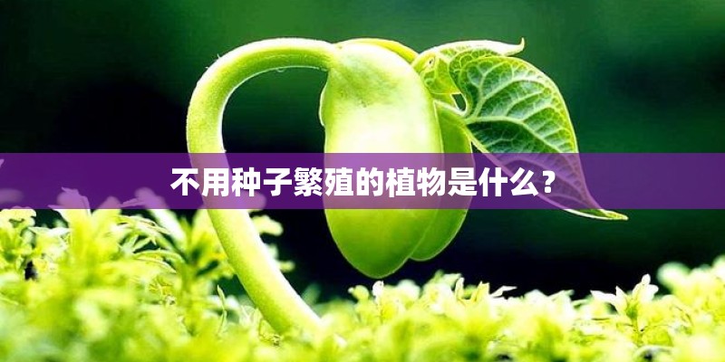不用种子繁殖的植物是什么？