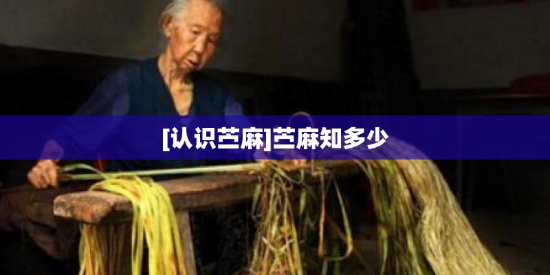 [认识苎麻]苎麻知多少