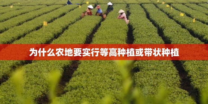 为什么农地要实行等高种植或带状种植