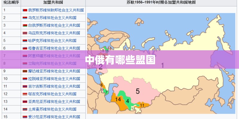 中俄有哪些盟国