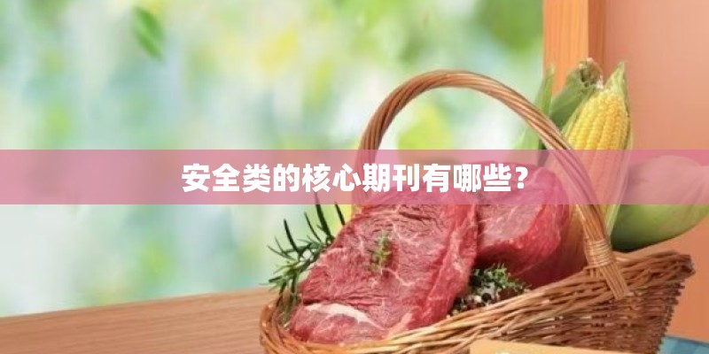 安全类的核心期刊有哪些？