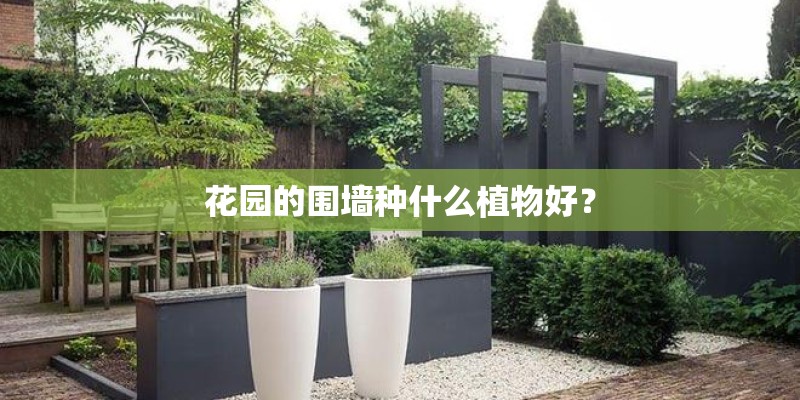 花园的围墙种什么植物好？