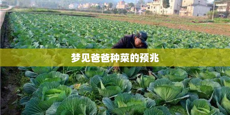 梦见爸爸种菜的预兆