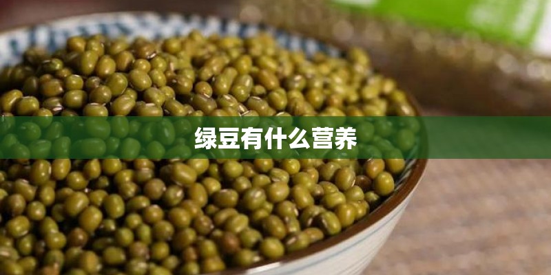 绿豆有什么营养