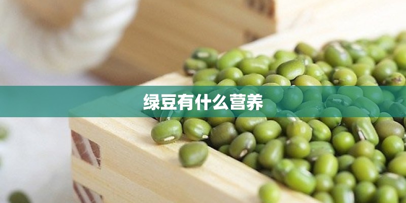 绿豆有什么营养
