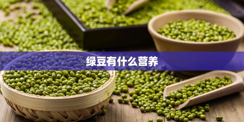 绿豆有什么营养