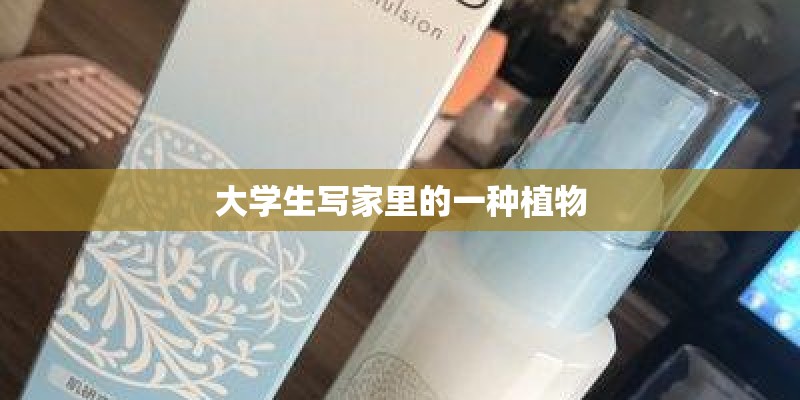 大学生写家里的一种植物