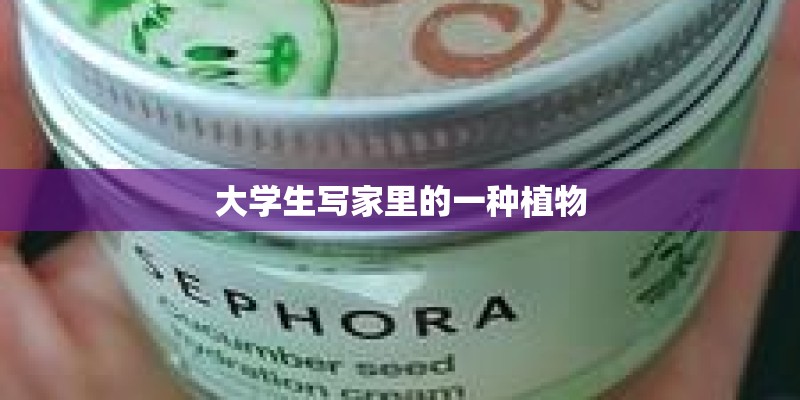 大学生写家里的一种植物