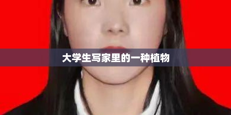 大学生写家里的一种植物