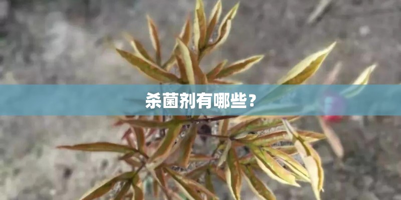 杀菌剂有哪些？