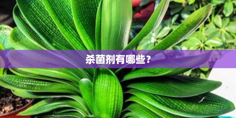 杀菌剂有哪些？