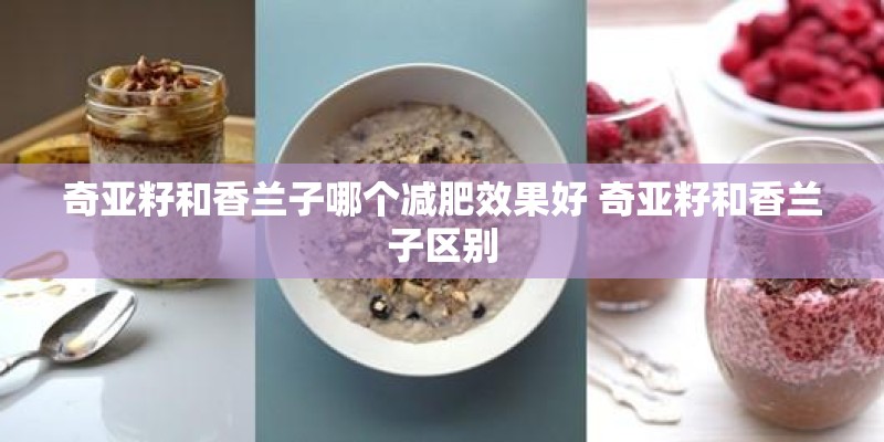 奇亚籽和香兰子哪个减肥效果好 奇亚籽和香兰子区别