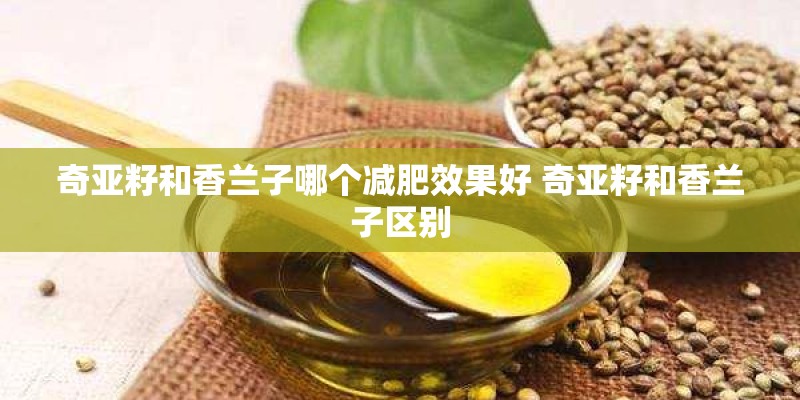 奇亚籽和香兰子哪个减肥效果好 奇亚籽和香兰子区别