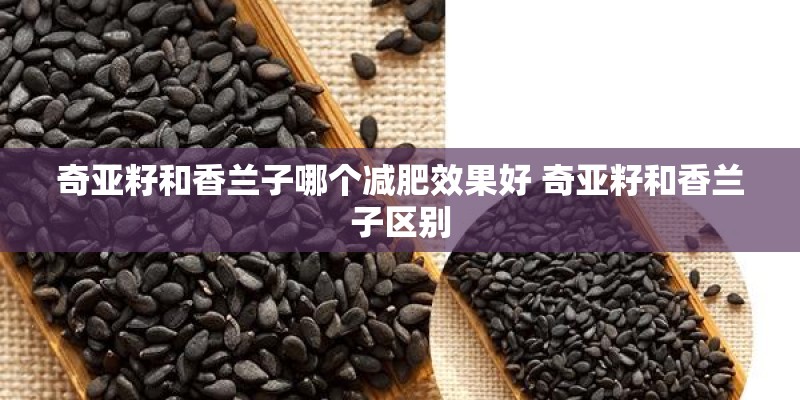 奇亚籽和香兰子哪个减肥效果好 奇亚籽和香兰子区别