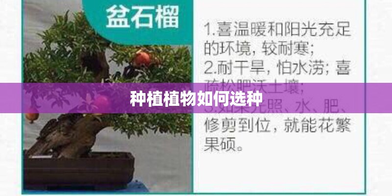 种植植物如何选种