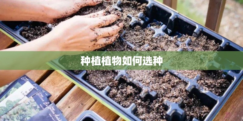 种植植物如何选种