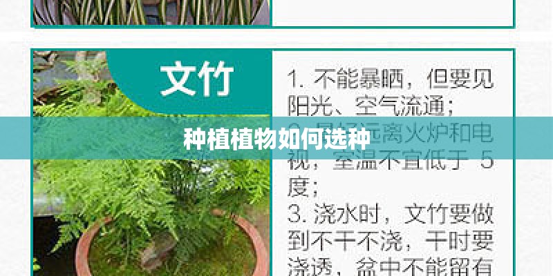 种植植物如何选种
