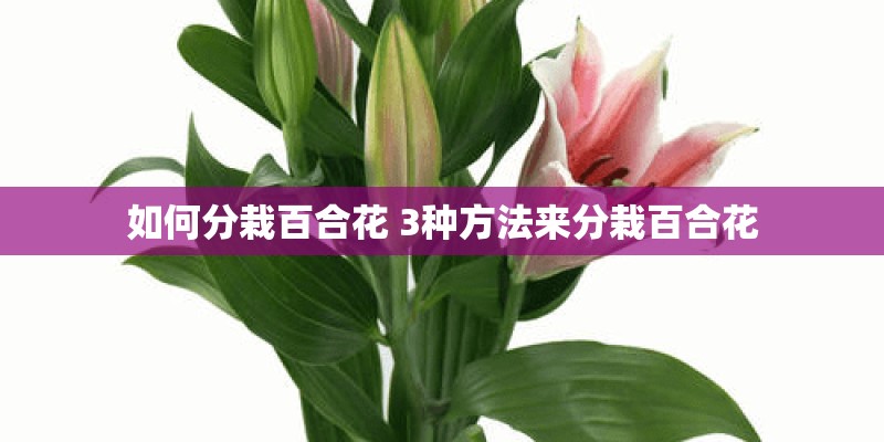 木栈板回收多少钱一个 木栈板回收多少钱一个