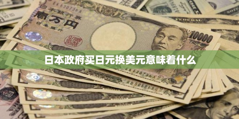 日本政府买日元换美元意味着什么