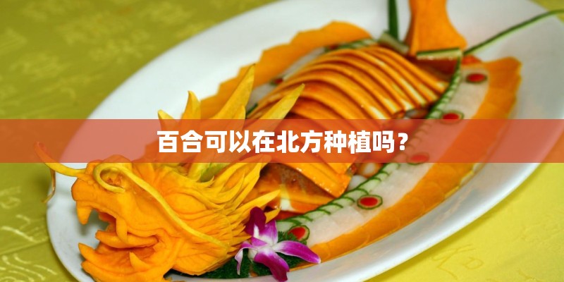 百合可以在北方种植吗？