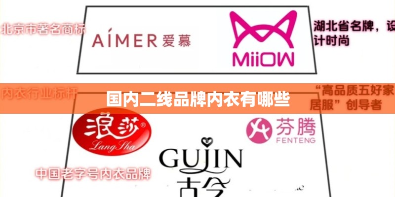 国内二线品牌内衣有哪些