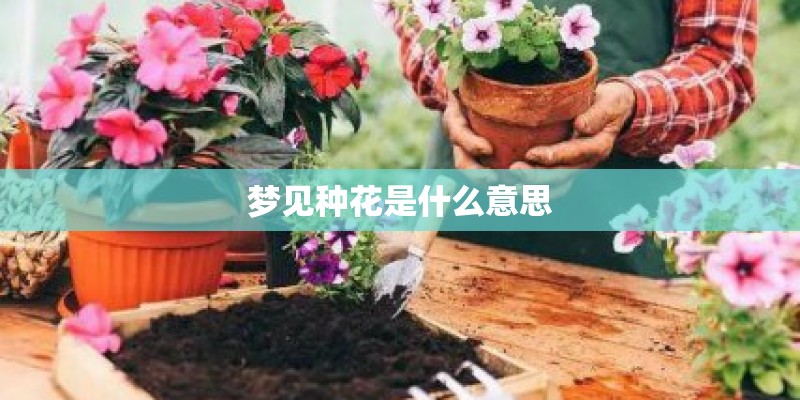 梦见种花是什么意思