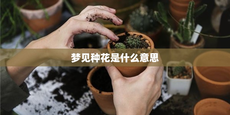 梦见种花是什么意思