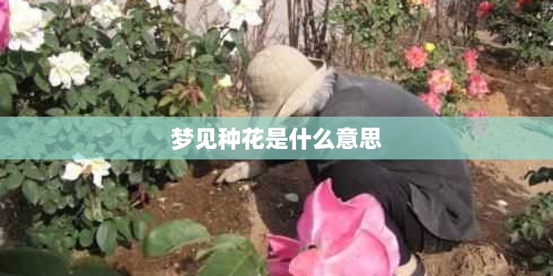 梦见种花是什么意思